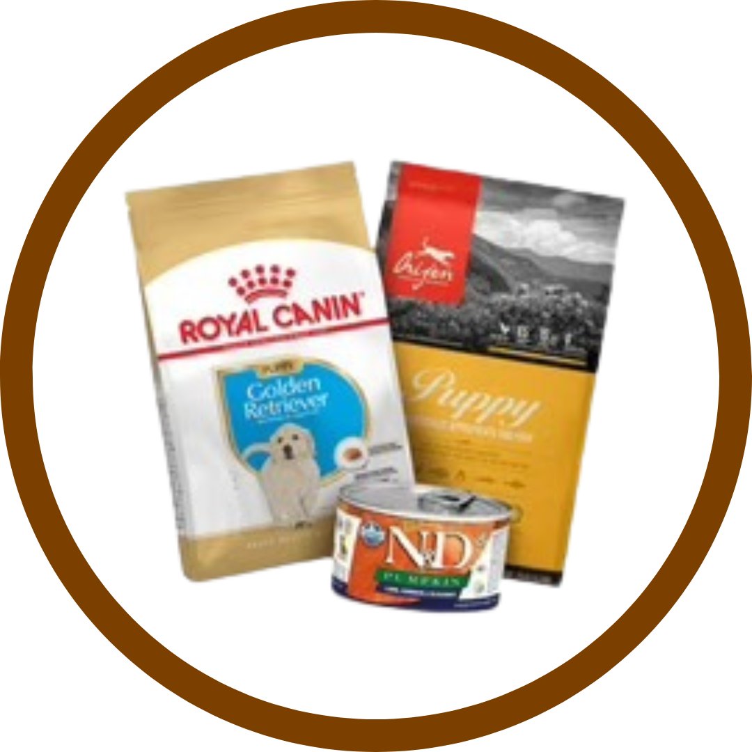 Dog Treats
